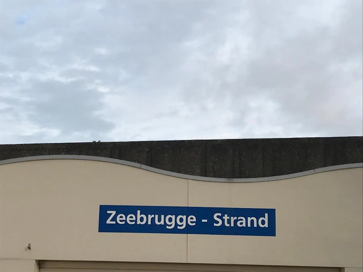 Residentie Palace Zeebrugge 0*, Bruggy Belgie